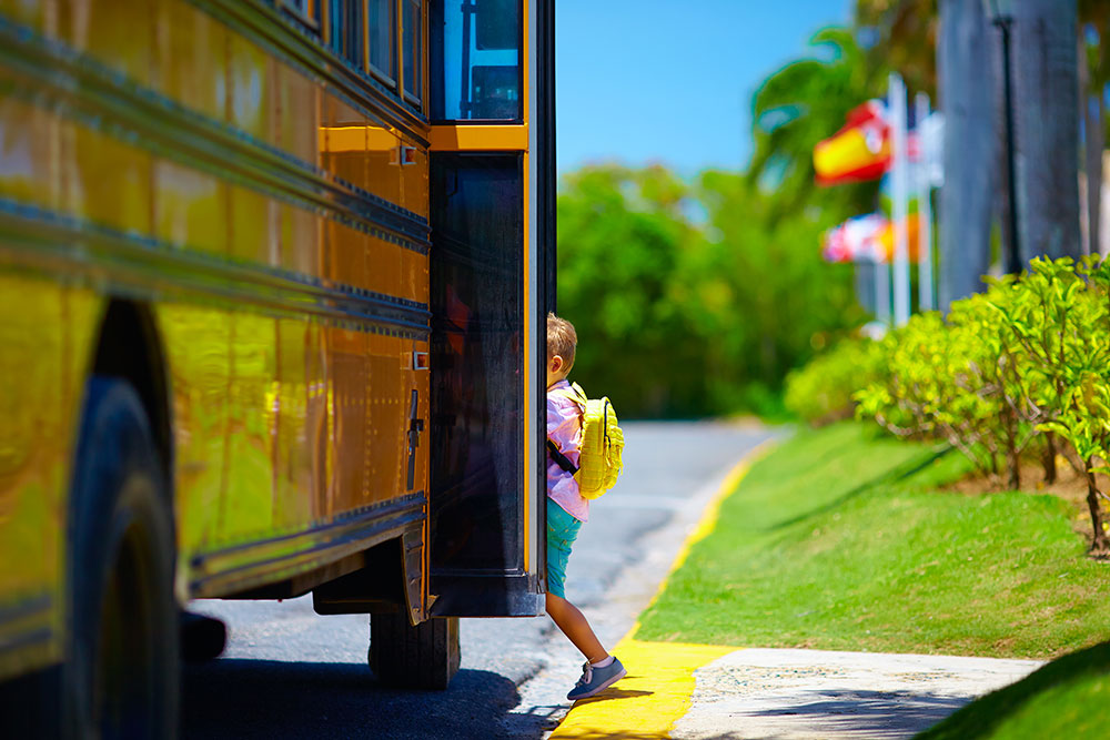 School Bus Safety